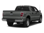 2014 Ford F-150 Platinum